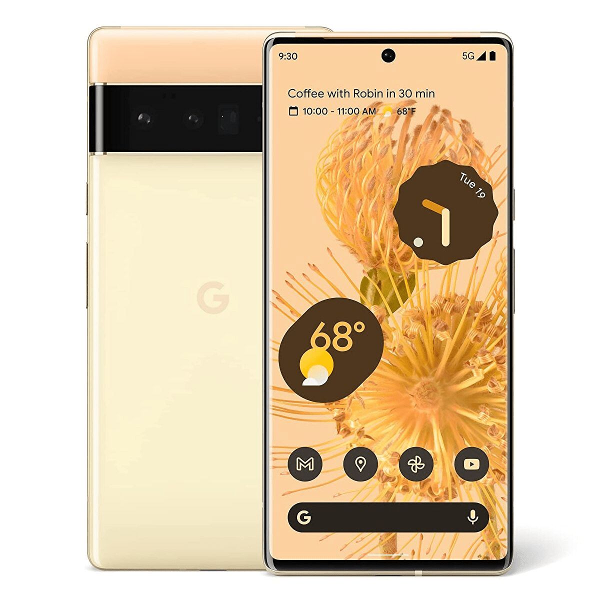 Pixel 6 Pro Repair