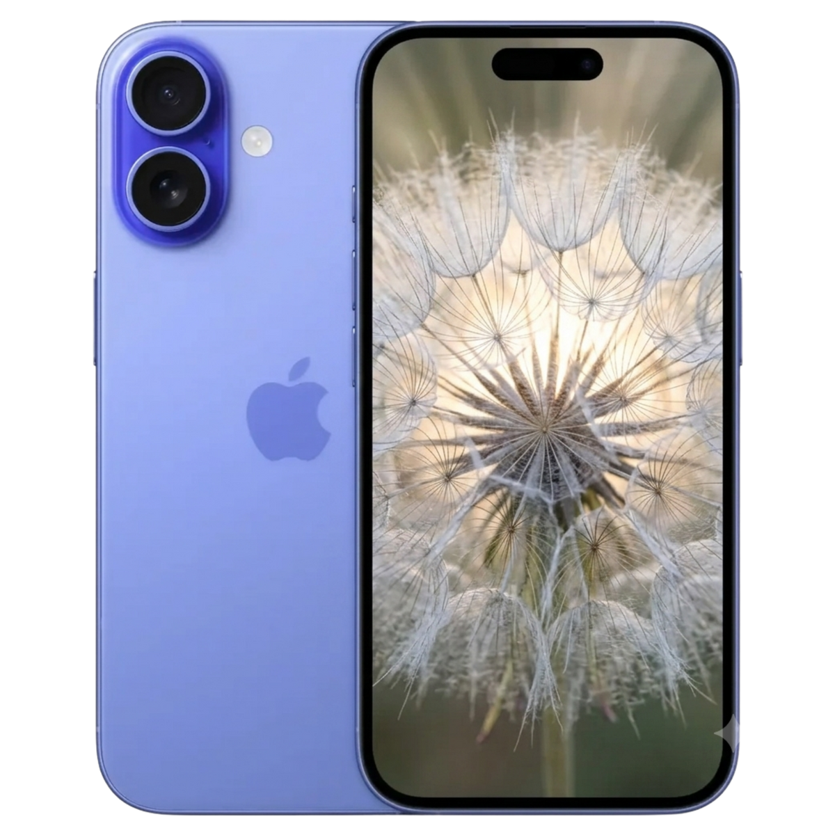 Iphone 16 Plus Repair